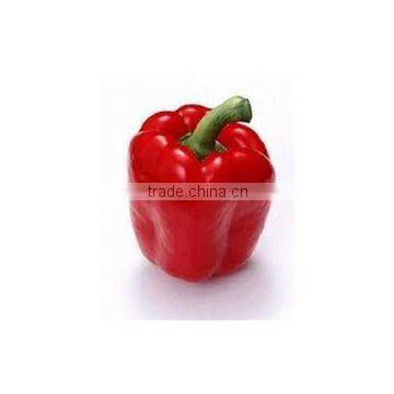 Reasonable Price for Oleoresin Capsicum Lot No : 1414