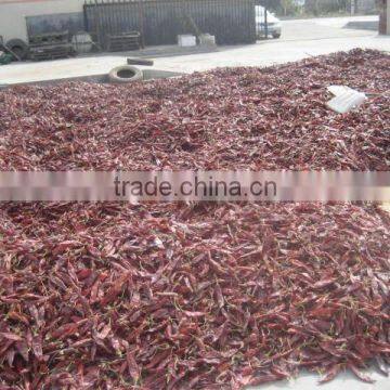 Dried chilli