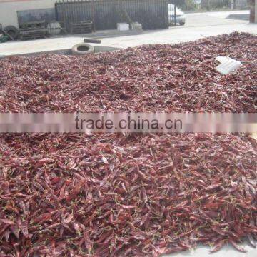 Red Dried Chilli