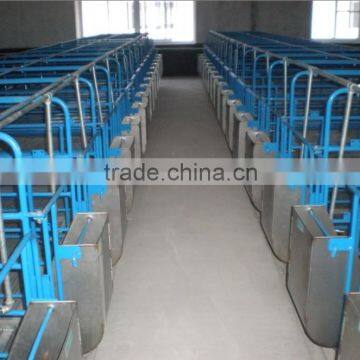 Sow stainless steel feeder used on Gestation stall