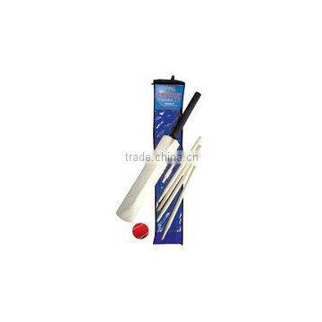 cricket bat / wooden cricket bat