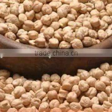 11mm Chickpeas suppliers