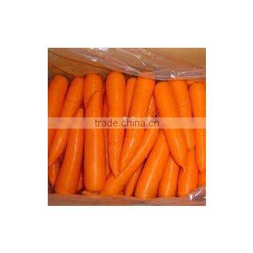 red carrot