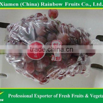 Red global grapes