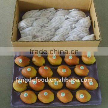 fragrant pear packing in carton