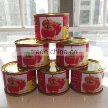 Christmas Big Sale of Canned Tomato Paste or in bulk drums