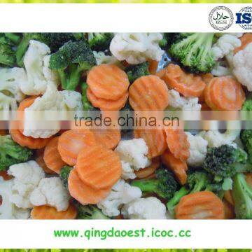 Chinese Best quality frozen mixed vegetables with competitive price