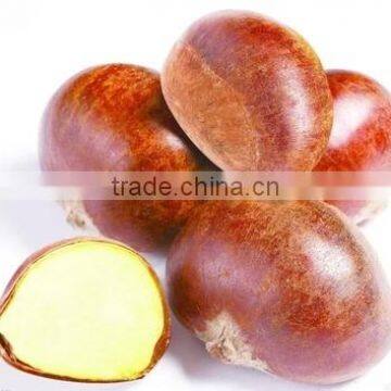 2015 New Raw Fresh Chestnuts photo-5