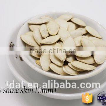 Shine Skin Pumpkin Seeds (10mm)