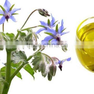 Best Price and Quality Cold Pressed Organic Borage Oil Bulk Plant Extract photo-2
