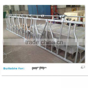 Galvanized Steel Pipe Cow Healock for 8 Cows Locking