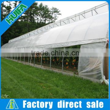 lateral steel frame single tunnel greenhouse supplies