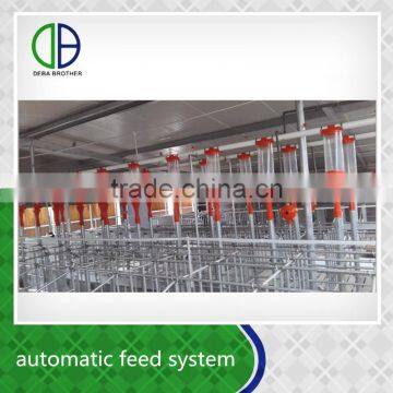 Pig farm automatic feed system worldwide popular design