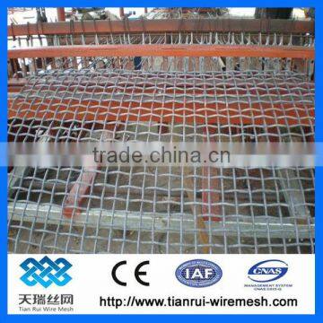 Woven wire mesh / crimped mesh / heavy duty cimped wire mesh