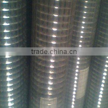 Hot dip Galvanized Welded Wire Mesh