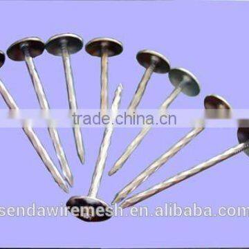 Common Nails/roofing Nails /iron Nails photo-4