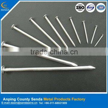 zinc coated common nails