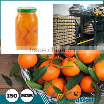 Hot Automatic Canned Oranges /tangerine Palletizer photo-2