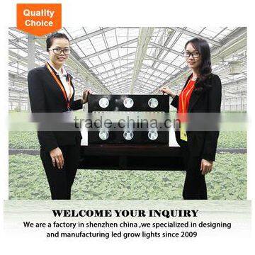 Adjustable horticulture system full spectrum led grow light 1000w