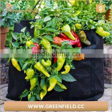 2017 Non Woven Hanging Planter Grow Bag Vegetable Grow Bag photo-5