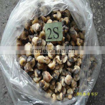 cooked cleaned frozen conch meat