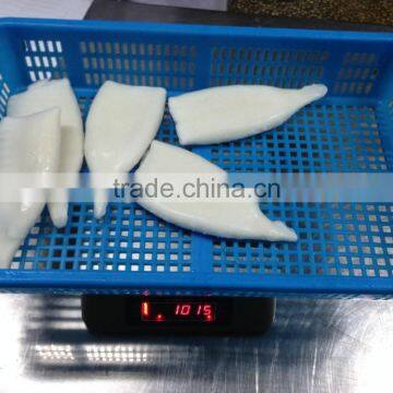 Frozen Pacific Squid Tube photo-2