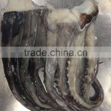 For BBQ 2-4 Kgs Frozen Giant Squid Tentacles photo-2
