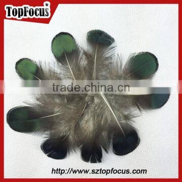 New Hot Carnival Costume Trimming Fringe Green Pheasant Feathers Prices