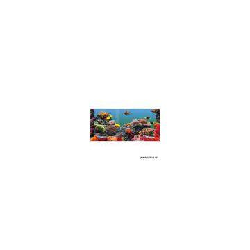 Sell Aquarium Photo Frame