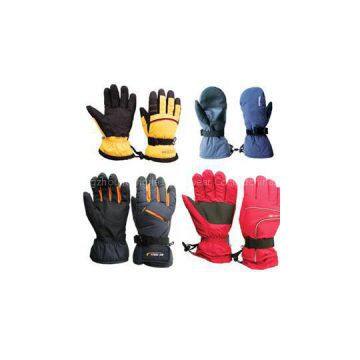 Ski Gloves