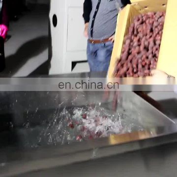 Industrial strawberry washer machine  /ozone vegetable washer machine/ letture air bubble washing machine