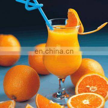 Hot Fruit and Vegetable Juicer With Crusher /Juice Production Line photo-5