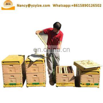 Flow Bee Hive / Hive Bee / Bee Box