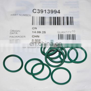 3913994 102827 Cummins engine Barring Drive O-Ring Seal