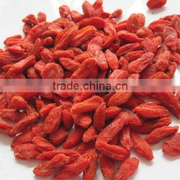 Goji Berry,Wolfberry