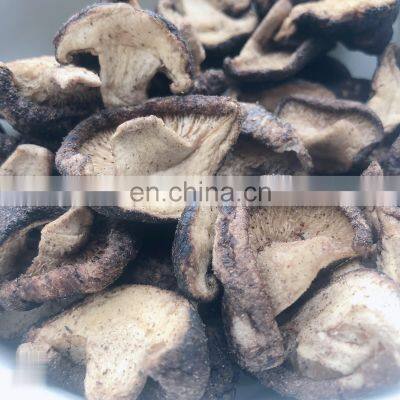 Crispy Dried Mushrooms Vacuum Low Temperature Fried vf Mushrooms photo-2