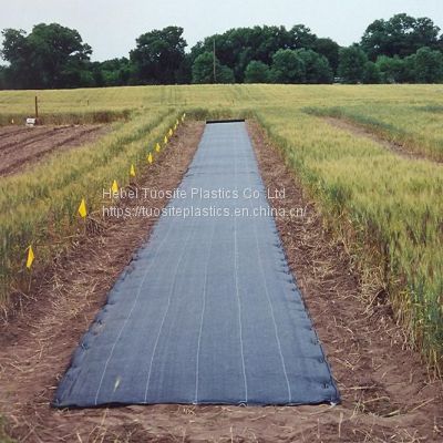 100gsm Weed Mat Roll Anti Weed Control Ground Polypropylene Mesh Green Weed Control Roll