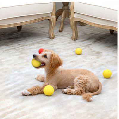 Squeaky Ball photo-3