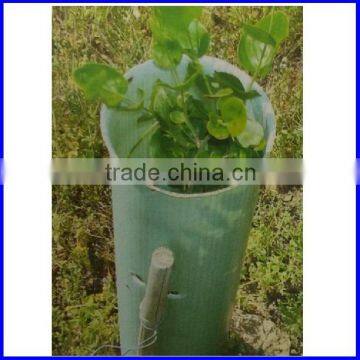 Plastic Corflute Tree Guard Sheet Making Machine photo-5