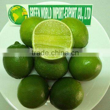 HIGH QUALITY FRESH LIME WITH BEST PRICE, FOR NOW !