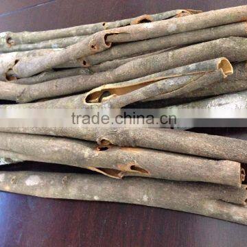 good price for vietnam cinnamon/ cassia