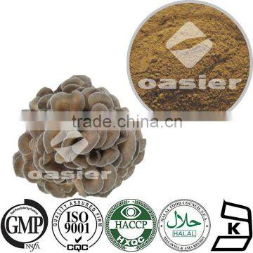 Dried Maitake Mushroom Extract Powder 10%-50% Polysaccharide UV