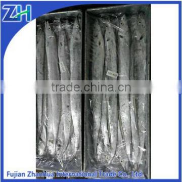 wholesale ribbon seafood frozen fresh new ribbon fish price(A grade)