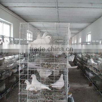 The New Type metal Racing Pigeon Cage Breeding