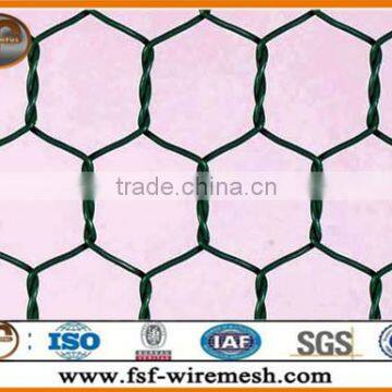 China professional cheap Hexagonal wire netting