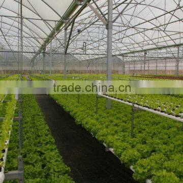 Hydroponics for Professional Growers