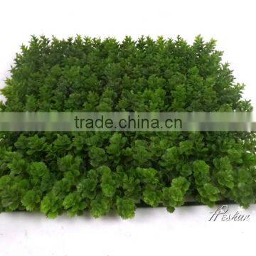 Popular 2016 new designed artificial grass mat for wall decoration