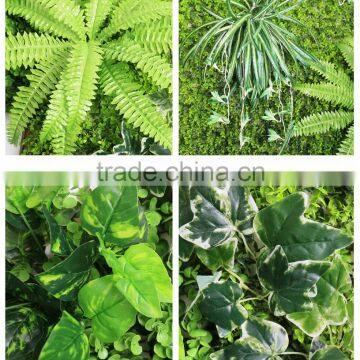 New Product 2016 plastic plants types of ornamental plants for wholesale