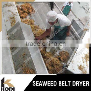 DW Model Continuous Seaweed Belt Dryer/Seaweed Conveyor Dryer/Seaweed Dryer