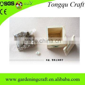 Import China Products Bonsai Tree Magic Growing Message Beans photo-4